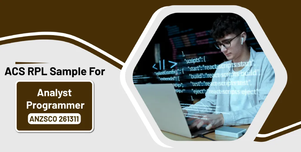Analyst Programmer