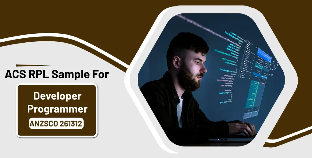 Developer Programmer